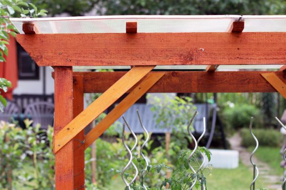 Tomatenpflanzen vor Regen schützen - Regenschutz für Tomaten - Tomaten.de