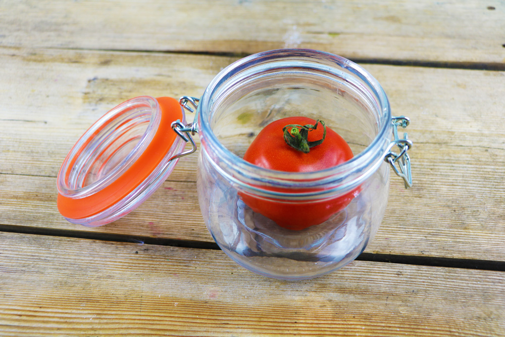 Tomate im Weckglas