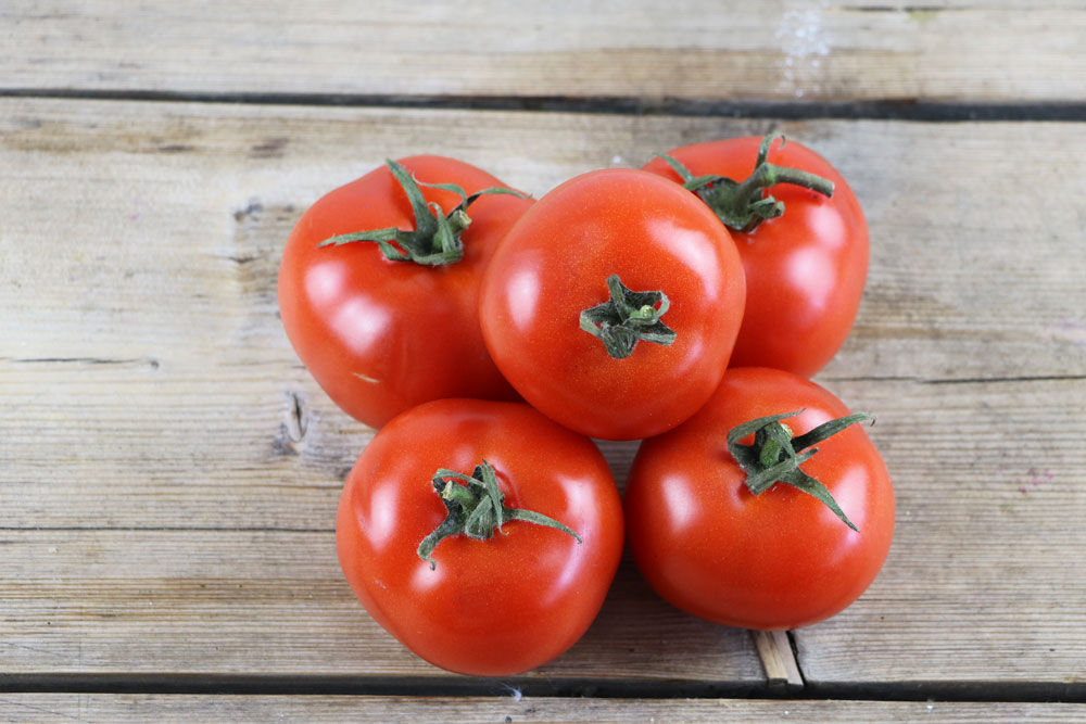 reife, rote Tomaten zum Verzehr