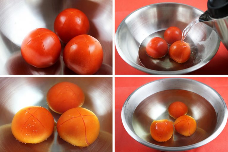 Tomaten einfrieren mit diesem Rezept konservieren Sie frische Tomaten Tomaten.de