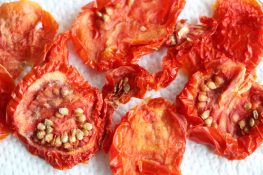 Tomatensamen gewinnen so trocknen Sie frische Samen Tomaten.de