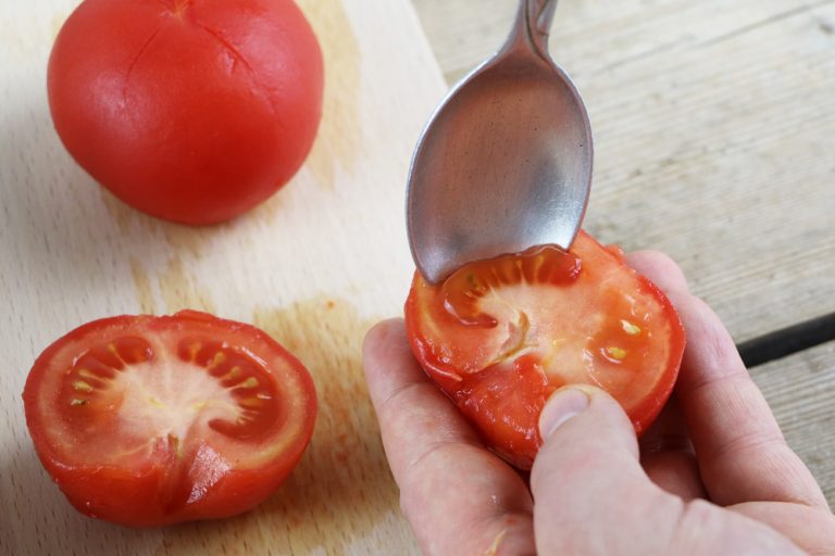 Tomaten züchten aus Kernen Grundlagen der Tomatenanzucht im Topf
