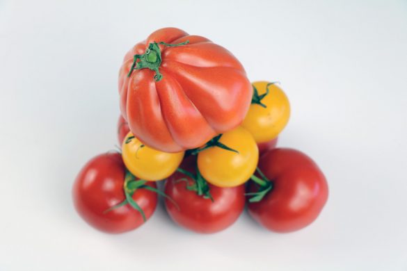 Geschichte der Tomate woher kommt die Tomate? Tomaten.de