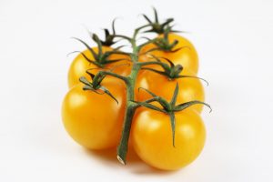 Gelbe Tomaten 54 SortenListe Tomaten.de