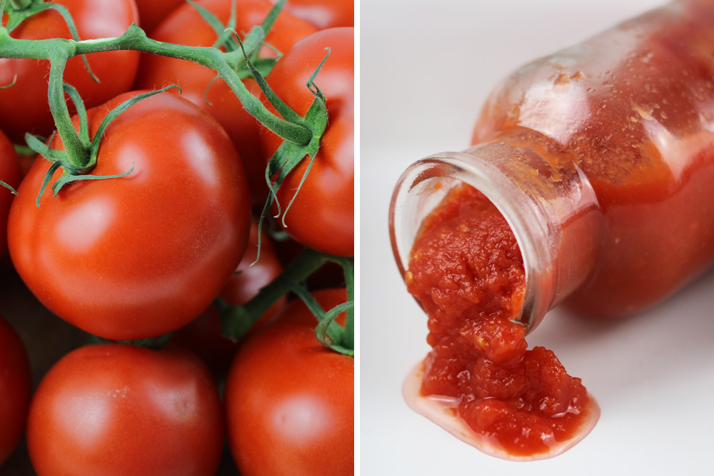 Tomatenketchup aus frischen Tomaten selber machen - Ketchup-Rezept ...
