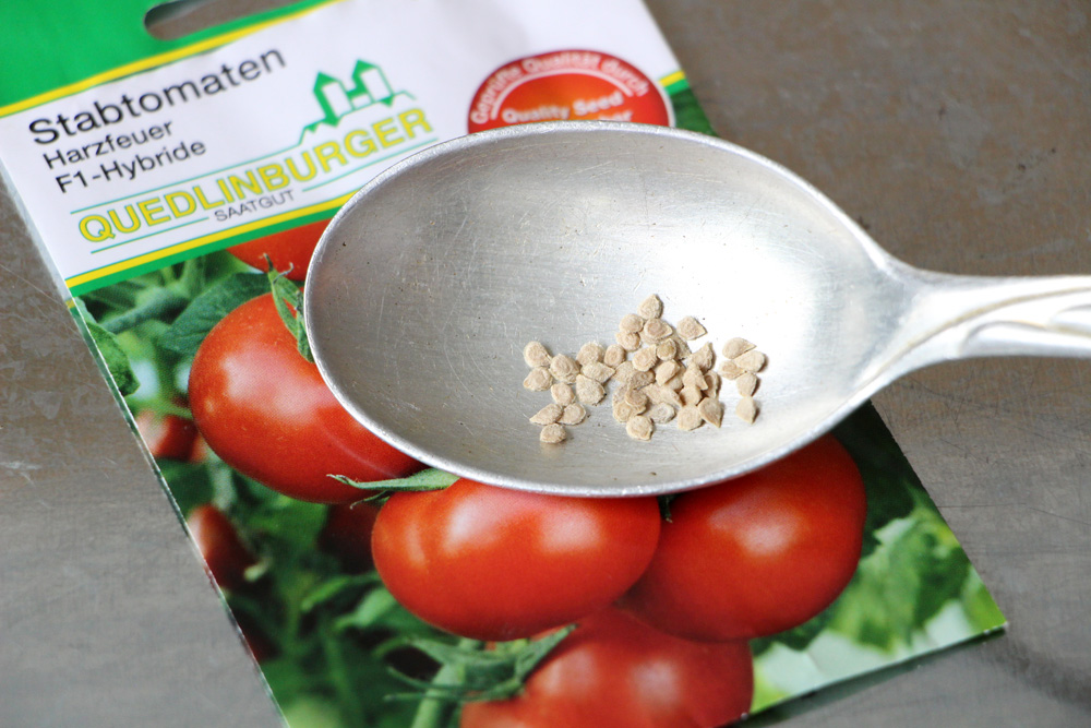 Tomate platzfest Harzfeuer F1 Hybrid 10 Samen kranheitsresistent 