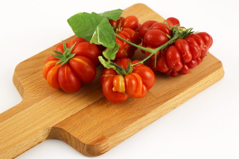 Tomate Reisetomate Geschmack, Pflege und Samen der Fleischtomate