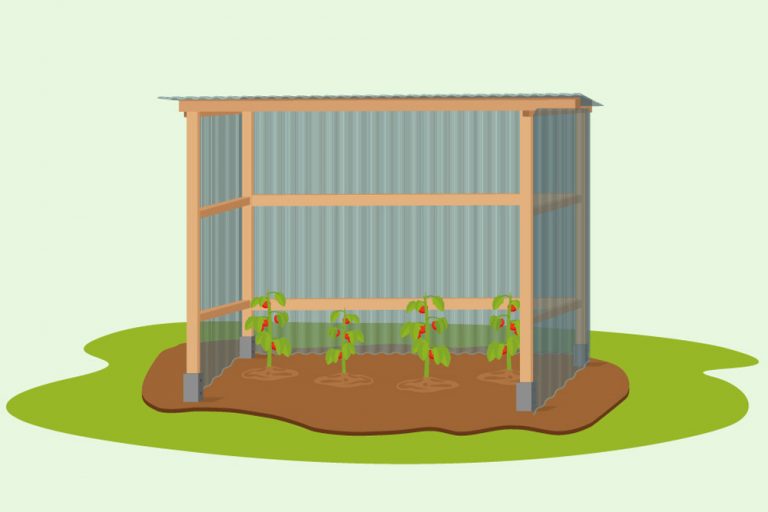 Tomatenhaus selbst bauen DIYAnleitung Tomaten.de