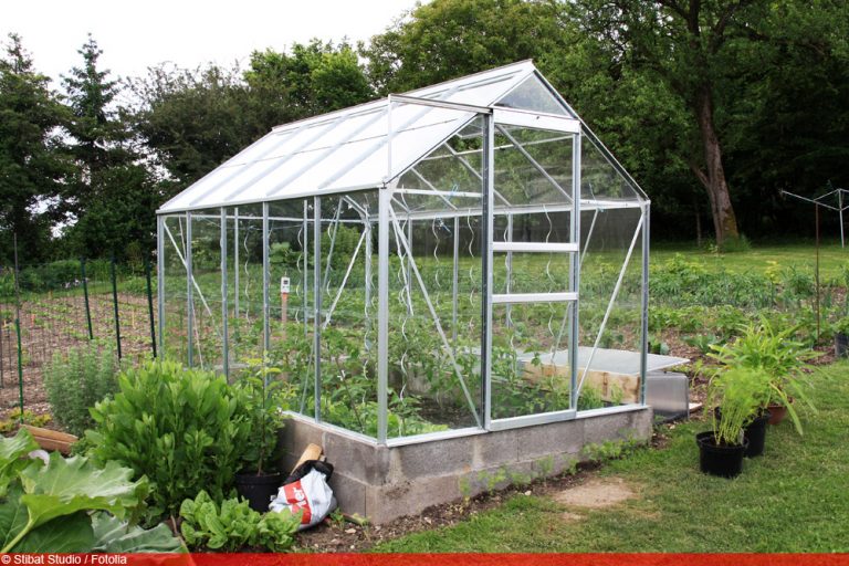 Rankhilfen für Tomaten 9 Ideen, um Tomatenpflanzen zu stabilisieren