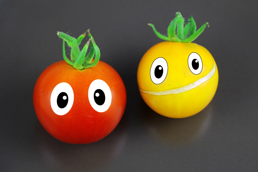 Tomaten auf den Augen haben - Bedeutung und Übersetzung in Englisch ...