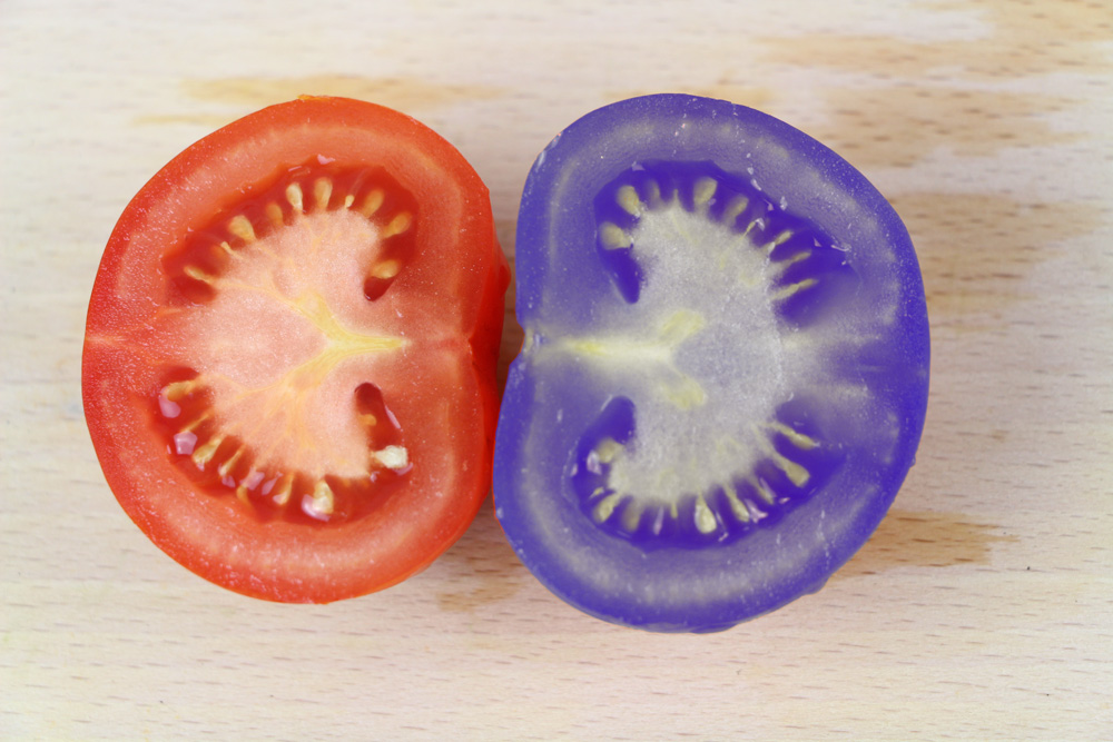 Tomaten blausäurehaltig
