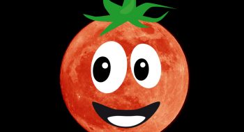 Tomaten Saen Wann Ist Der Ideale Zeitpunkt Tomaten De