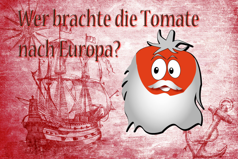 Wer hat die Tomate nach Europa gebracht? | Herkunft &amp; Ursprung - Tomaten.de