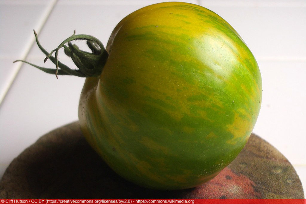 'Green Zebra' Tomatensorte