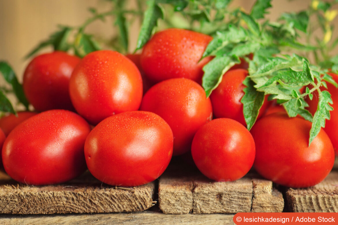 Reife Roma-Tomaten auf Holzbrettchen